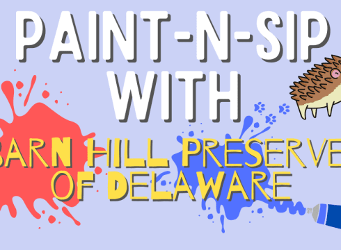 Paint-N-Sip with Porcupines and Hedgehogs