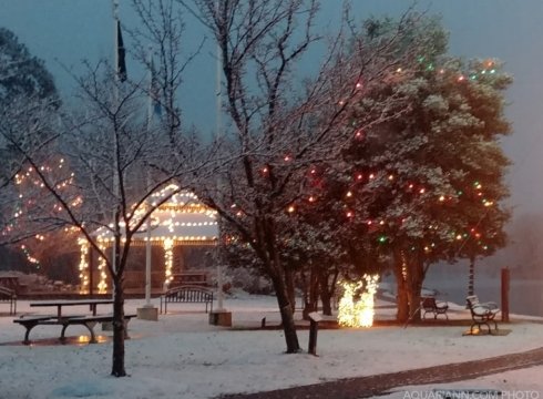Milton Lights Up the Park