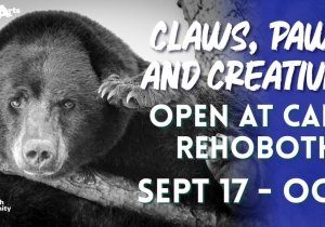 Claws, Paws, and Creativity Art Exhibit
