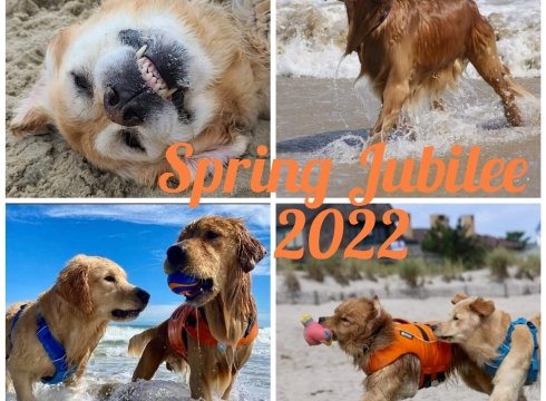 Dewey's Spring Golden Jubilee