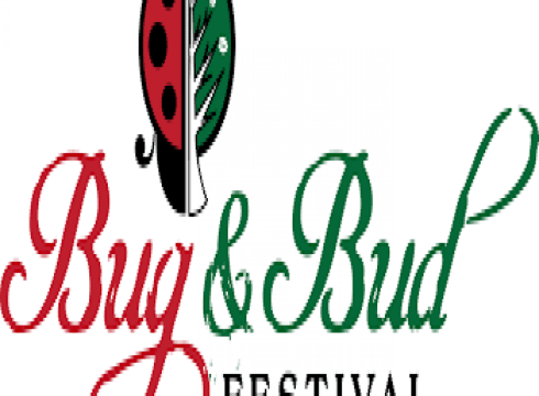 Bug and Bud Festival