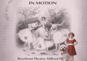 DanceCompany-X presents Evolution in Motion