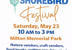 Horseshoe Crab and Shorebird Festival