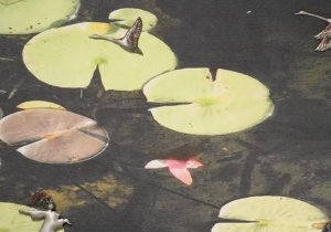 Mapping the Liminality - East and West