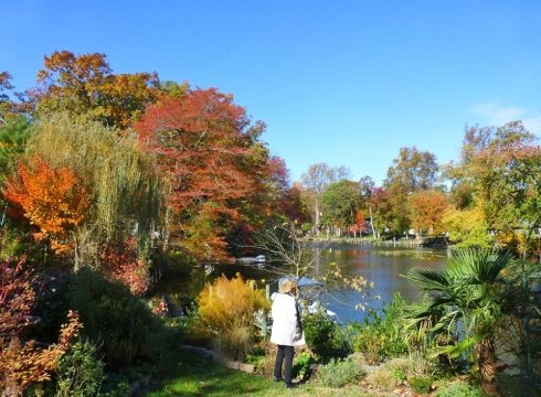 Mill Pond Garden Open Day