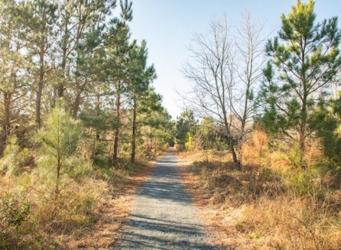 Hike the Sea Hawk Trail