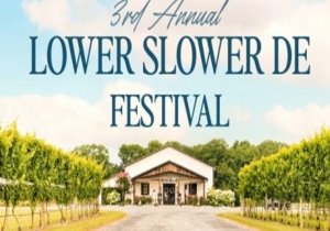Slower Lower DE Festival