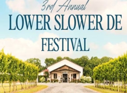 Slower Lower DE Festival
