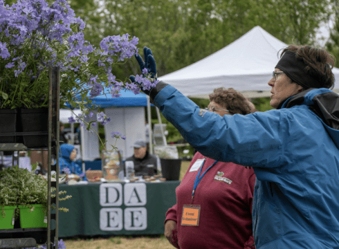 Bay Banter and Brews: Native Plants