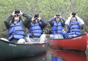 Spring Delmarva Birding Weekend
