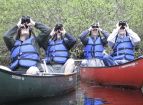 Spring Delmarva Birding Weekend