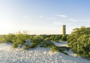 Earth Day: Dunes or Defense