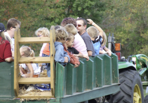 Beach Wagon Rides