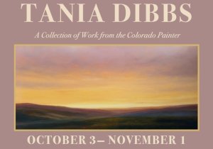 Tania Dibbs Solo Exhibition