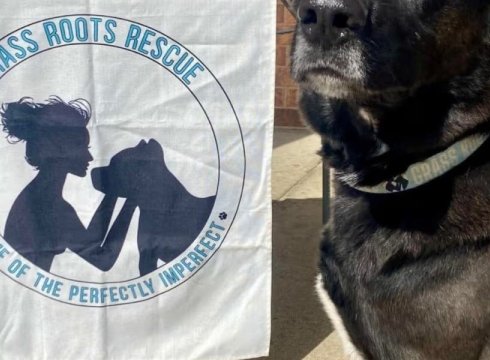 Yappy Hour with Grass Roots Rescue