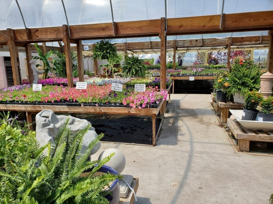 Pepper Greenhouses