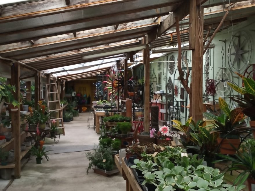 Pepper Greenhouses