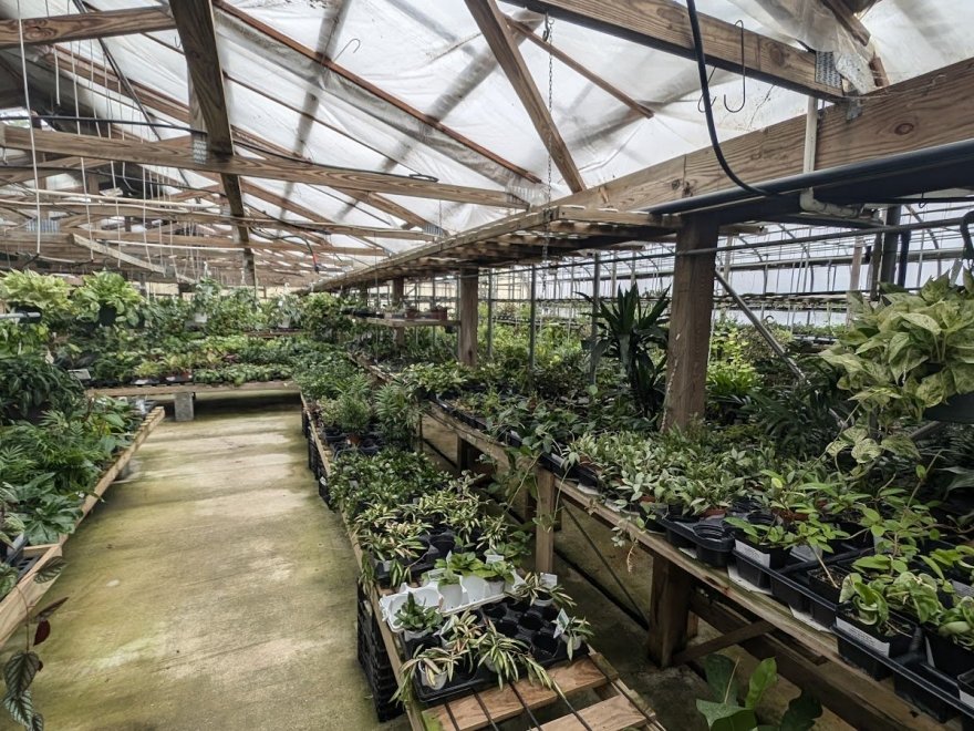 Pepper Greenhouses