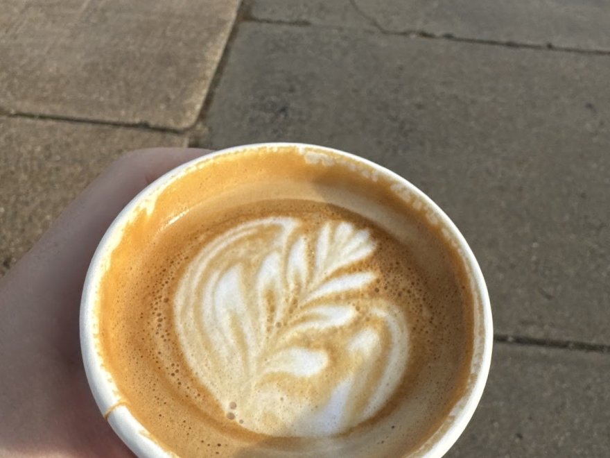 Gaia Coffee Co. Gaia Coffee Co.