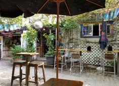 Purple Parrot Grill