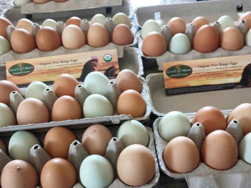 Good Earth Market & Organic Farm