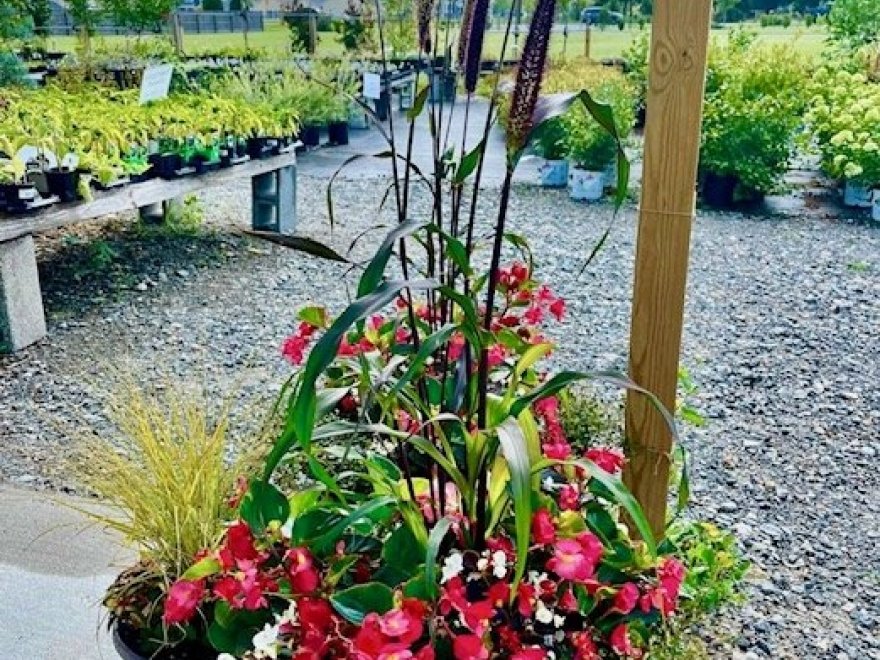 Garden Shack Farm