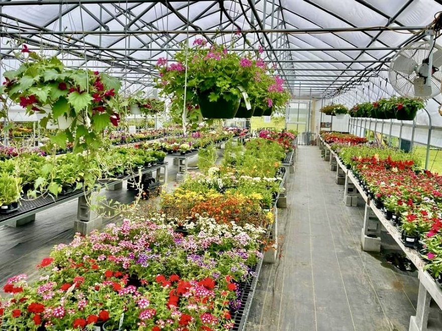 Garden Shack Farm