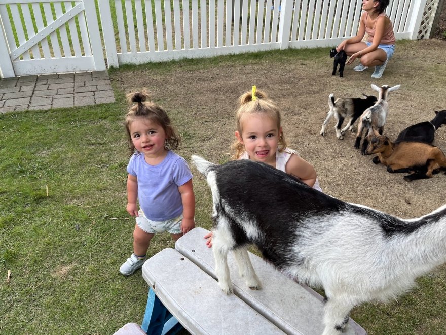 Goat Joy