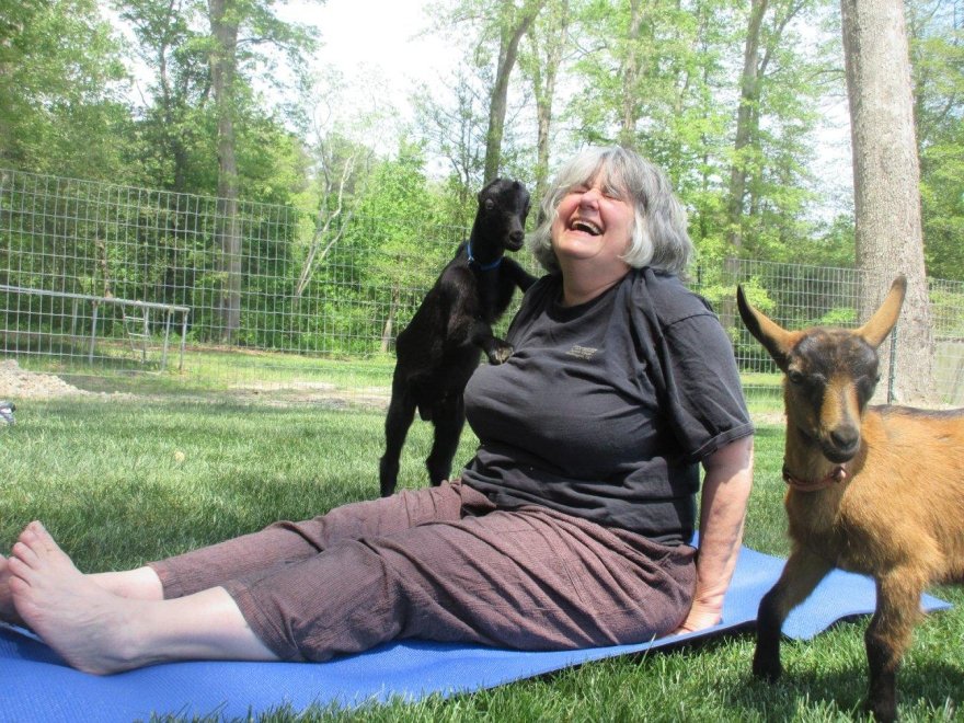 Goat Joy