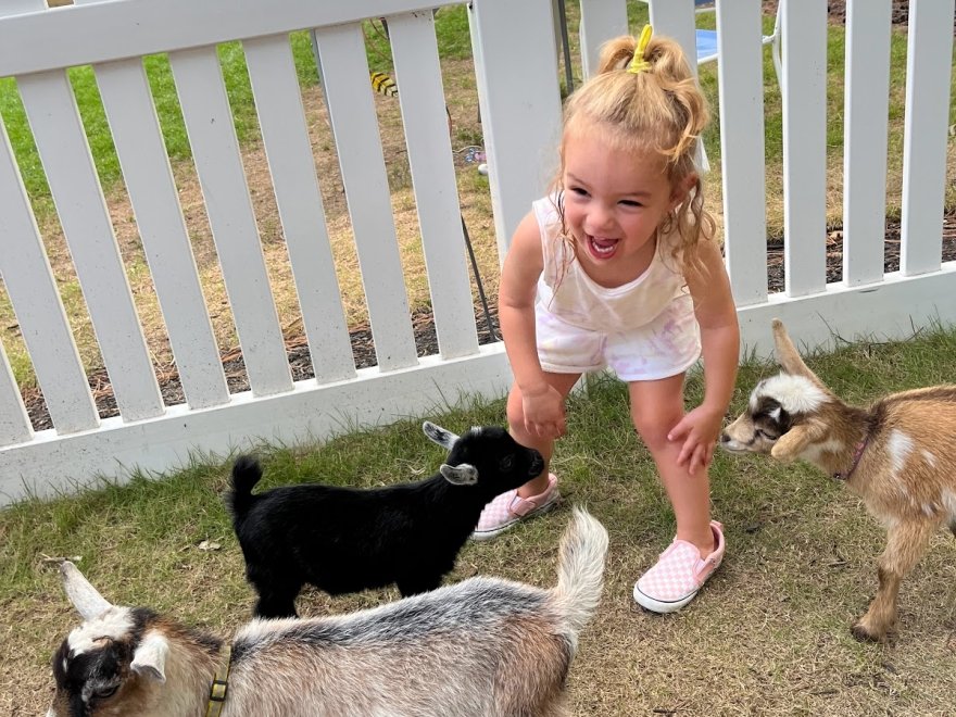 Goat Joy