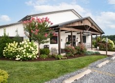 Salted Vines Vineyard & Winery