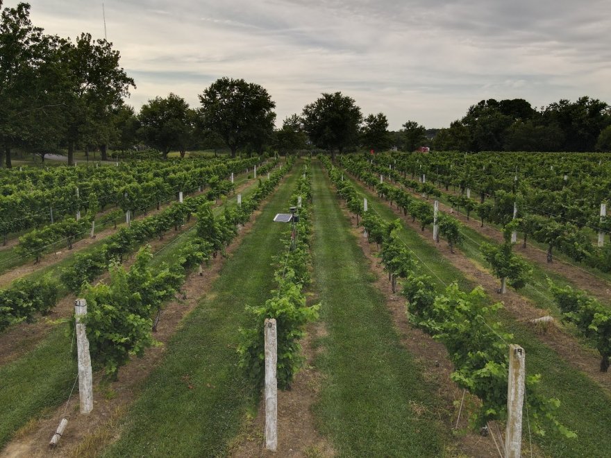 Nassau Valley Vineyards-Winery