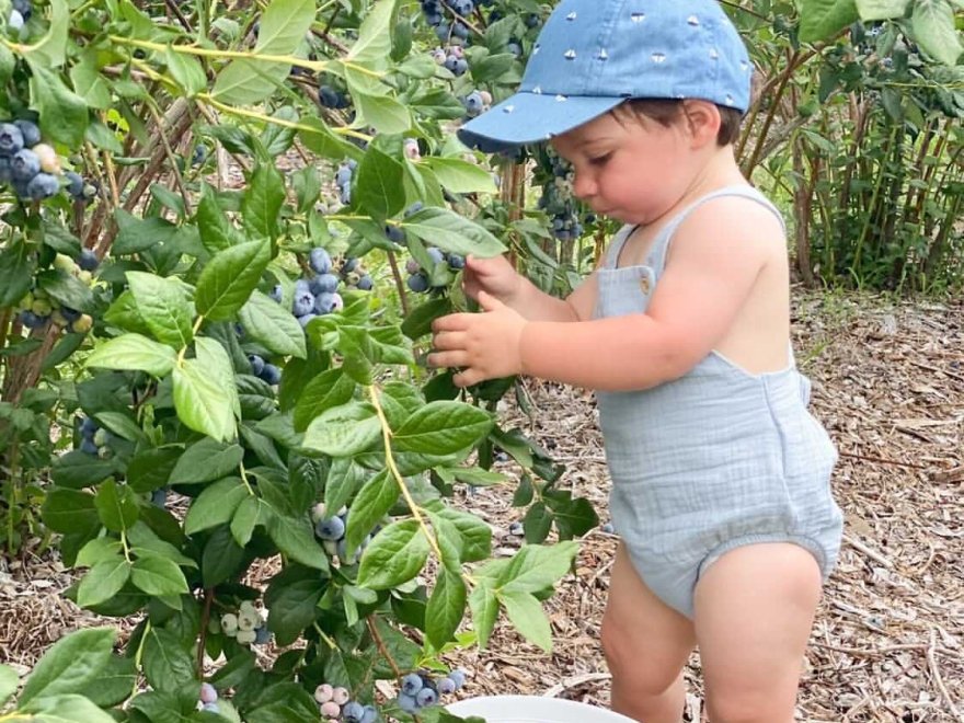 Bennett Orchards