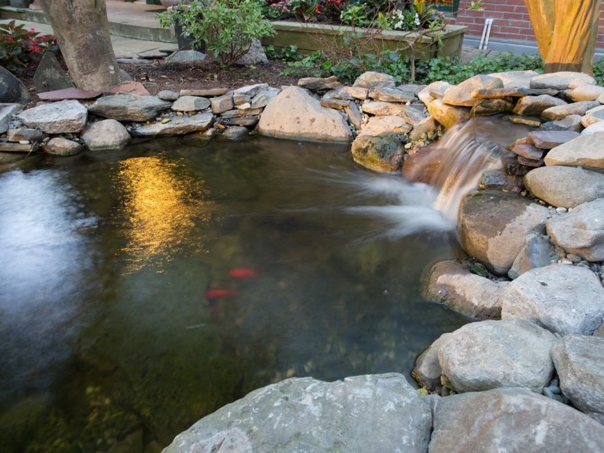 The Bellmoor Inn and Spa