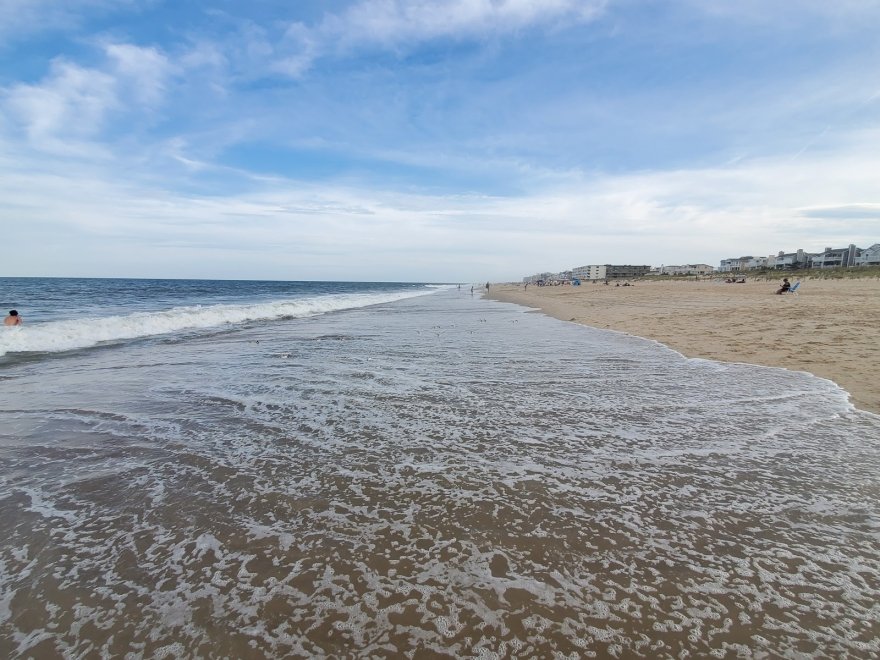 Fenwick Island State Park