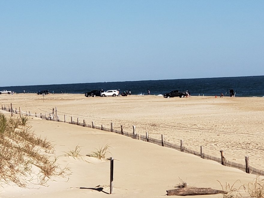 Fenwick Island State Park