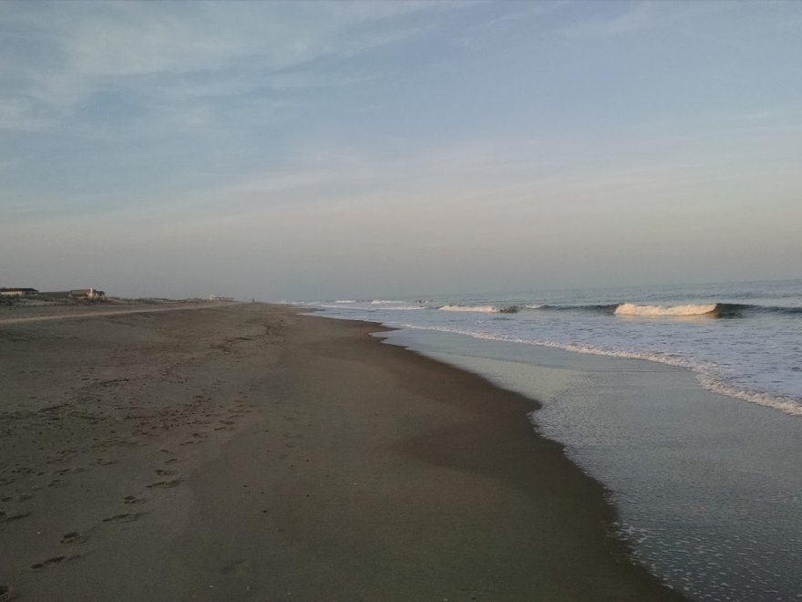 Fenwick Island State Park