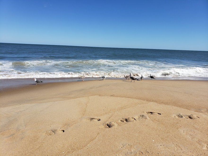 Fenwick Island State Park