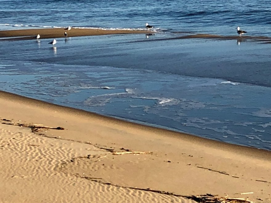 Fenwick Island State Park