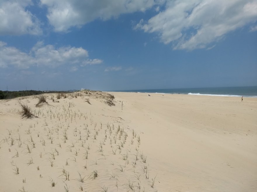 Fenwick Island State Park