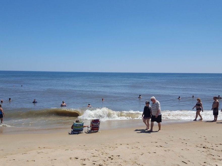 Fenwick Island State Park