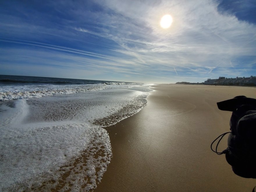 Fenwick Island State Park