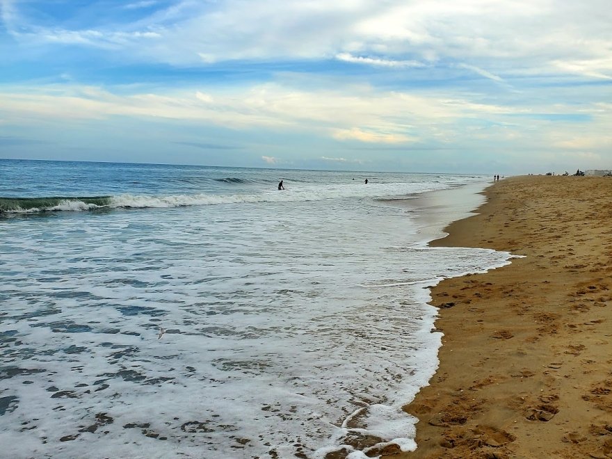 Fenwick Island State Park