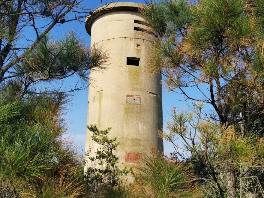 Fenwick Island State Park