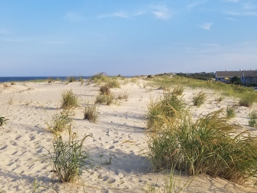 Fenwick Island State Park