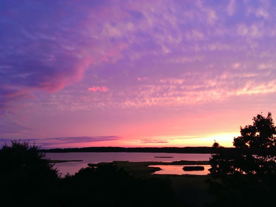 Fenwick Island State Park