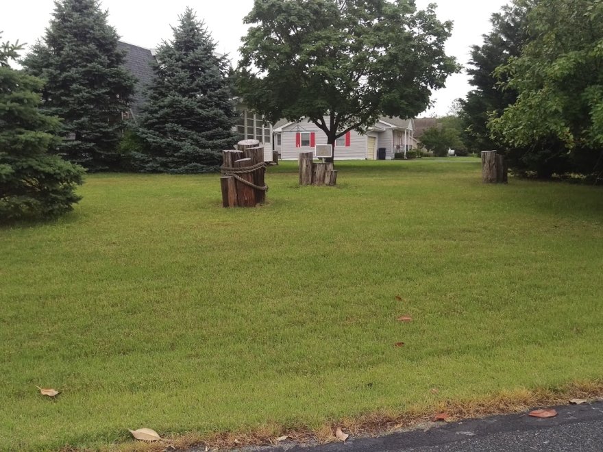 Pine Tree Campground