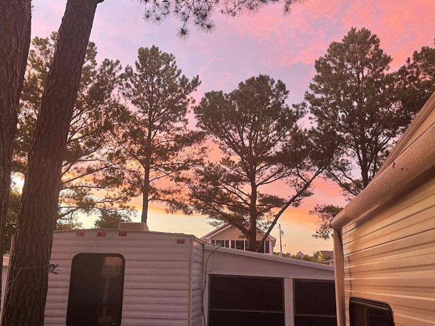 Pine Tree Campground