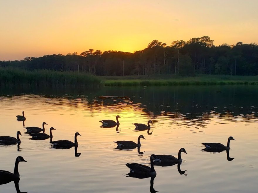 Gulls Way Campground