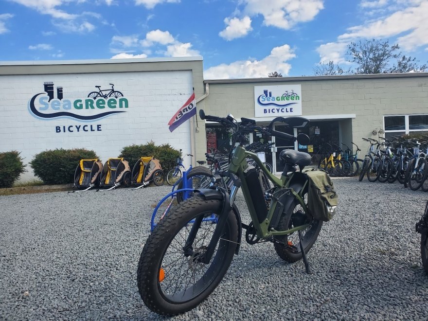 Seagreen Bicycle